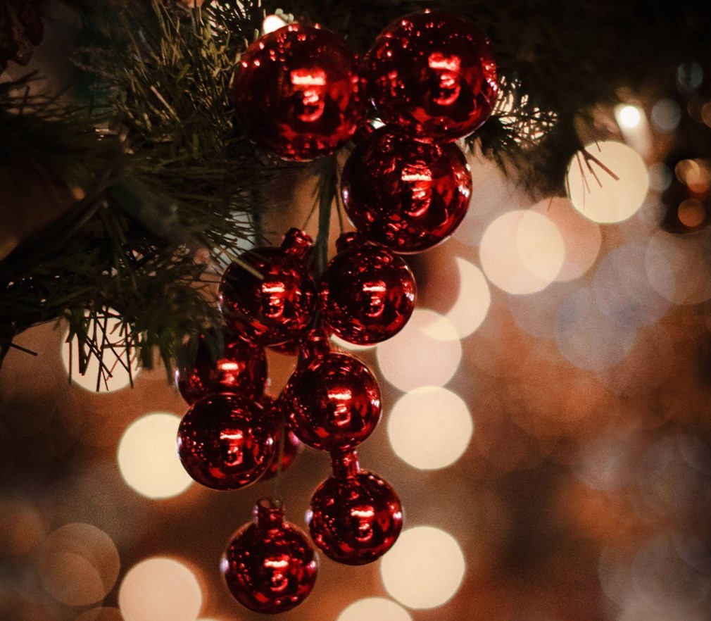 The Magic of Flocked Christmas Trees